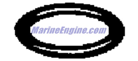 Evinrude Johnson OMC 3852463 - Seal