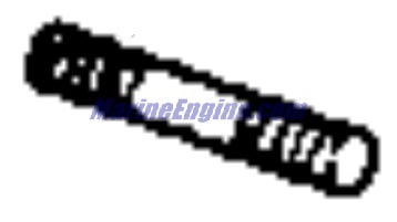Evinrude Johnson OMC Evinrude Johnson OMC OMC3852483
3852483