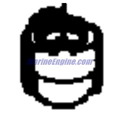 Evinrude Johnson OMC Evinrude Johnson OMC OMC3852525
3852525
