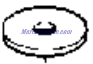 Evinrude Johnson OMC 3852540 - Washer