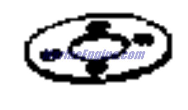 Evinrude Johnson OMC 3852585 - Plate