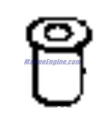 Evinrude Johnson OMC 3852611 - Plug