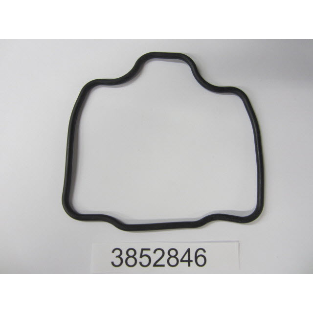 Evinrude Johnson OMC 3852846 - Seal, Exhaust Pipe