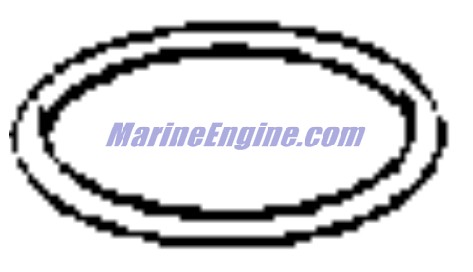 Evinrude Johnson OMC 3852866 - O-Ring