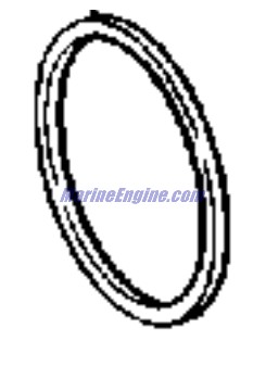 Evinrude Johnson OMC Evinrude Johnson OMC OMC3852868
3852868