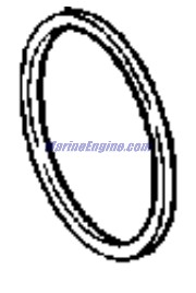Evinrude Johnson OMC Evinrude Johnson OMC OMC3852873
3852873