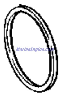 Evinrude Johnson OMC 3852876 - Ring,Shim -.116 inch