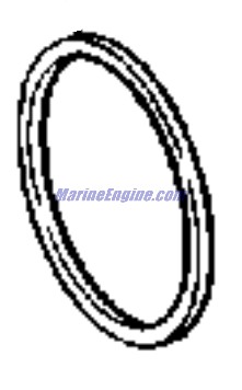 Evinrude Johnson OMC Evinrude Johnson OMC OMC3852878
3852878