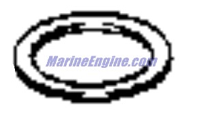 Evinrude Johnson OMC Evinrude Johnson OMC OMC3852891
3852891