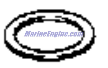Evinrude Johnson OMC Evinrude Johnson OMC OMC3852892
3852892