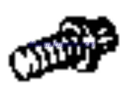 Evinrude Johnson OMC 3852896 - Screw
