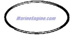 Evinrude Johnson OMC 3852900 - O-Ring