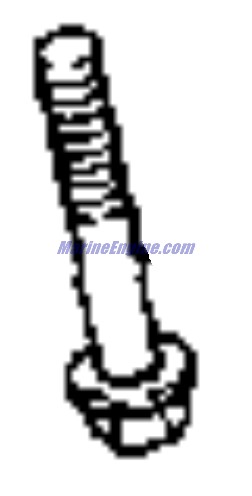 Evinrude Johnson OMC 3852957 - Screw