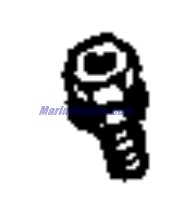 Evinrude Johnson OMC 3853037 - Screw