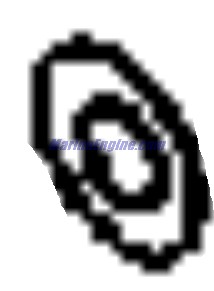 Evinrude Johnson OMC 3853075 - Washer