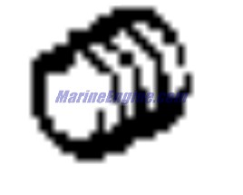 Evinrude Johnson OMC 3853108 - Plug