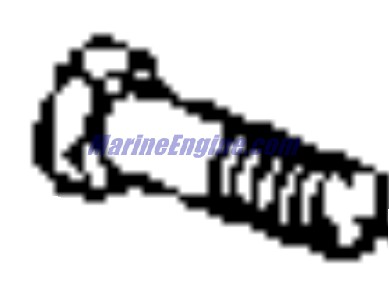 Evinrude Johnson OMC 3853392 - Screw