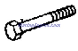 Evinrude Johnson OMC 3853394 - Screw