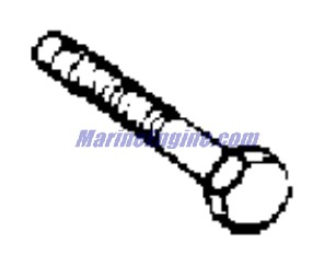 Evinrude Johnson OMC 3853407 - Screw
