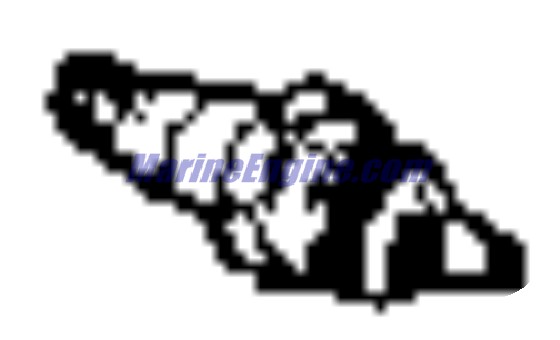 Evinrude Johnson OMC Evinrude Johnson OMC OMC3854181
3854181
