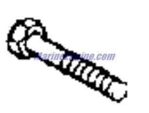Evinrude Johnson OMC Evinrude Johnson OMC OMC3854387
3854387
