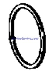 Evinrude Johnson OMC Evinrude Johnson OMC OMC3855009
3855009