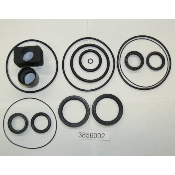 Evinrude Johnson OMC 3856002 - Gearcase Seal Kit