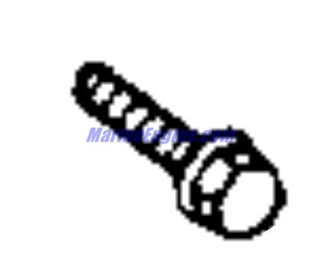 Evinrude Johnson OMC 3857184 - Flange Screw