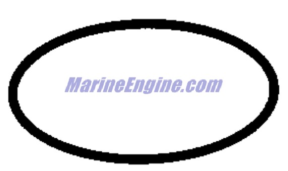 Evinrude Johnson OMC 3858078 - Seal