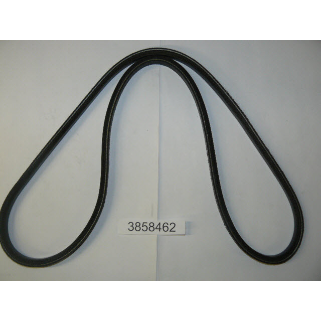 Evinrude Johnson OMC 3858462 - Power Steering V-Belt