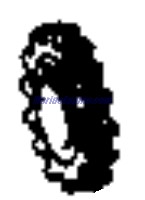 Evinrude Johnson OMC 3860086 - Serpentine Belt