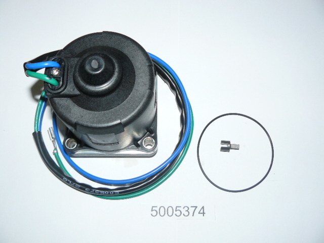 Evinrude Johnson OMC 5005374 - Tilt Trim Motor and O-Ring