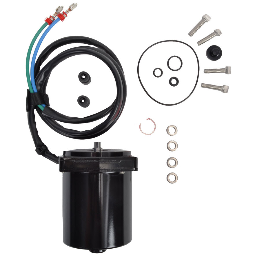 Evinrude Johnson OMC 5005831 - Trim Motor and O-Ring