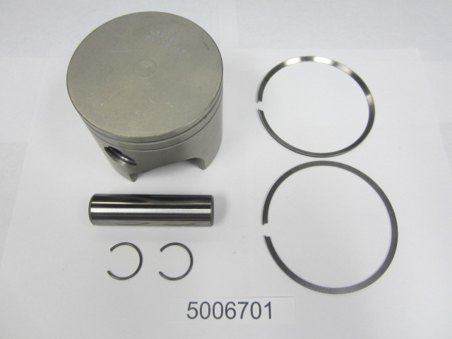 Evinrude Johnson OMC 5006701 - Piston & Ring Kit