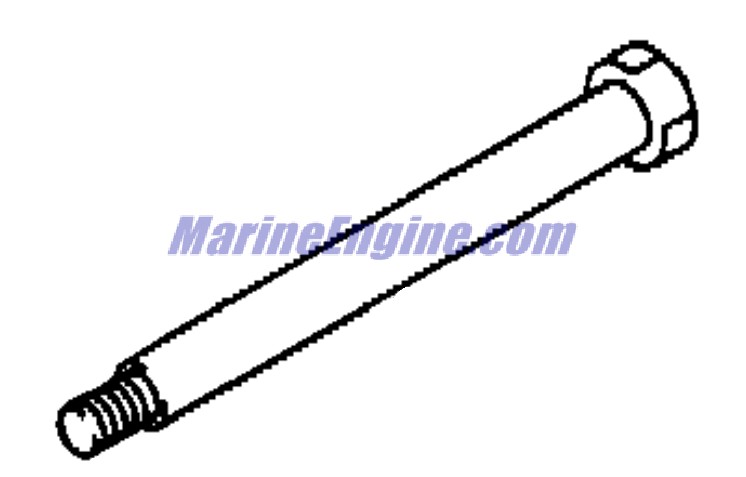 Evinrude Johnson OMC 5030027 - Bolt
