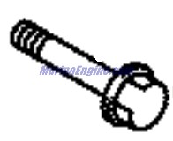 Evinrude Johnson OMC 5030397 - BOLT