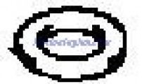 Evinrude Johnson OMC 5030466 - Gasket