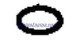 Evinrude Johnson OMC 5030537 - O-Ring - Oil Strainer