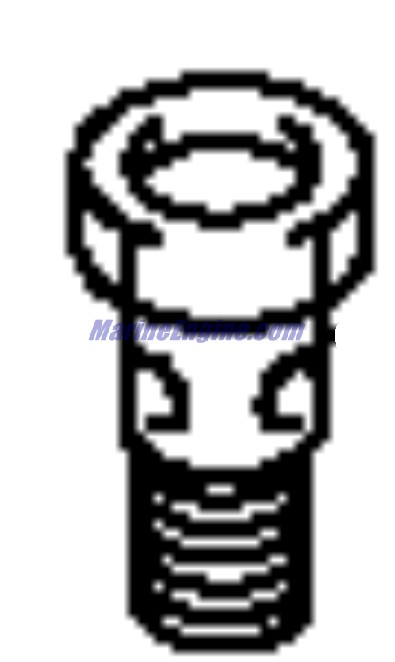 Evinrude Johnson OMC 5030567 - Bolt