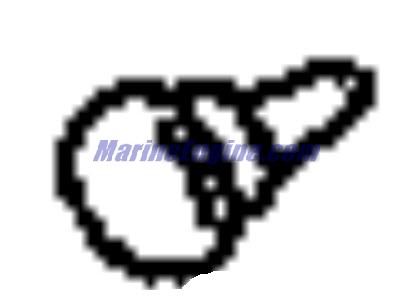 Evinrude Johnson OMC 5030681 - Screw Set, IAC Valve