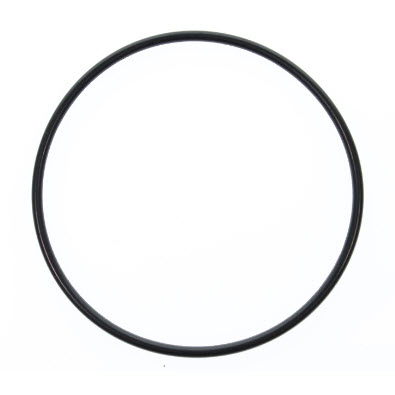 Evinrude Johnson OMC 5030781 - O-Ring