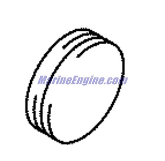 Evinrude Johnson OMC 5030948 - Plug, Side Cover