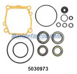 Evinrude Johnson OMC 5030973 - Gearcase Seal Kit