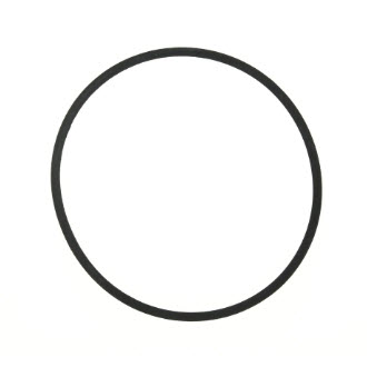 Evinrude Johnson OMC 5031036 - Gasket, Float Bowl