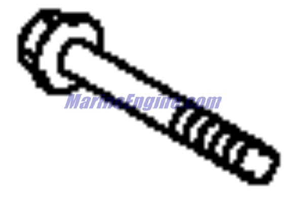 Evinrude Johnson OMC 5031065 - Bolt
