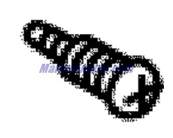 Evinrude Johnson OMC 5031111 - Screw