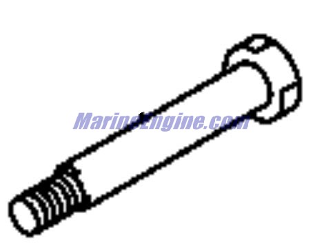 Evinrude Johnson OMC 5031163 - Bolt