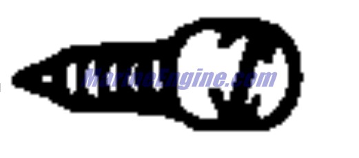 Evinrude Johnson OMC 5031182 - Screw, Pilot Air