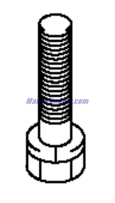 Evinrude Johnson OMC Evinrude Johnson OMC OMC5031217
5031217