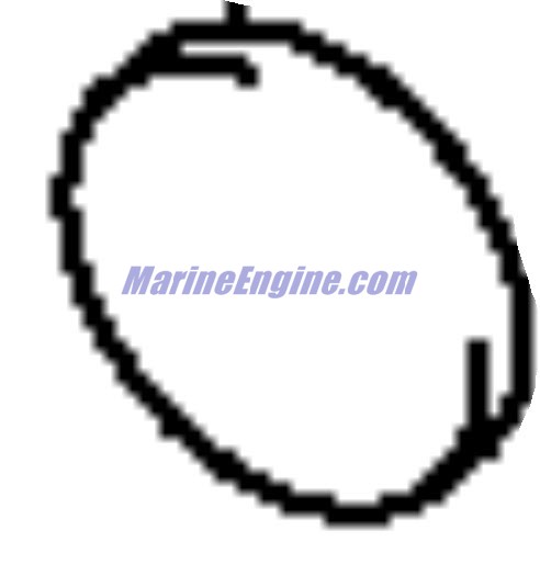 Evinrude Johnson OMC 5031347 - Shim, Tappet